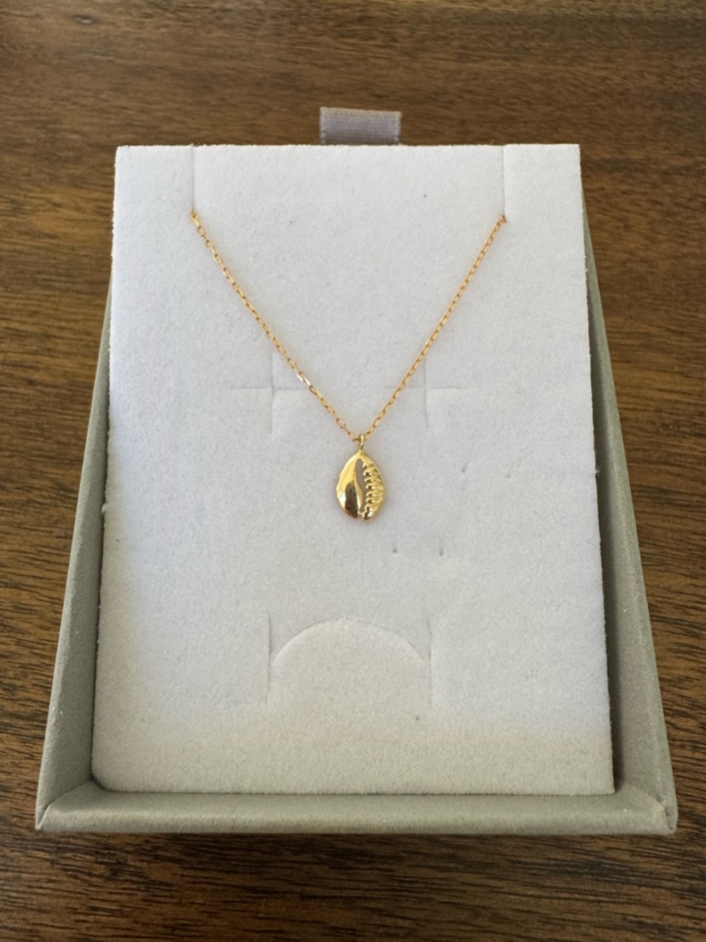 Gold Cowrie Shell Pendant Necklace - Women Jewelry
